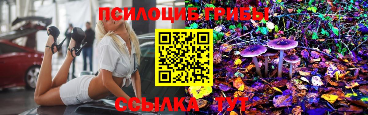Галлюциногенные грибы прущие грибы Чебаркуль